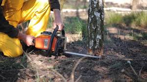 Lawn Maintenance Plans in Central City, KY